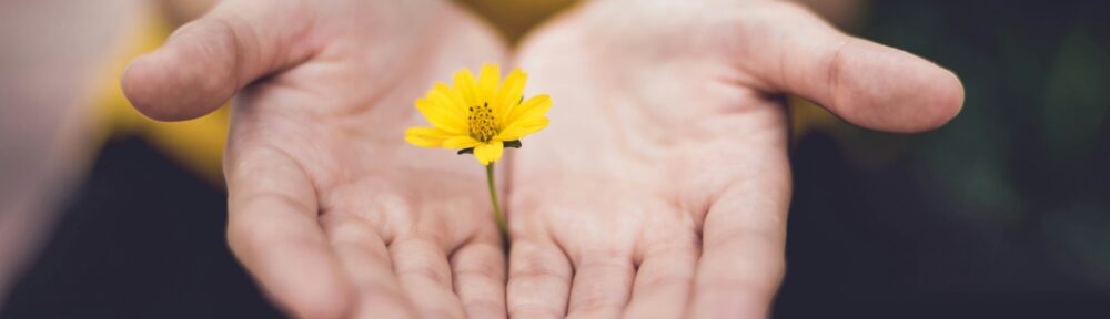 Foto von Lina Trochez auf Unsplash