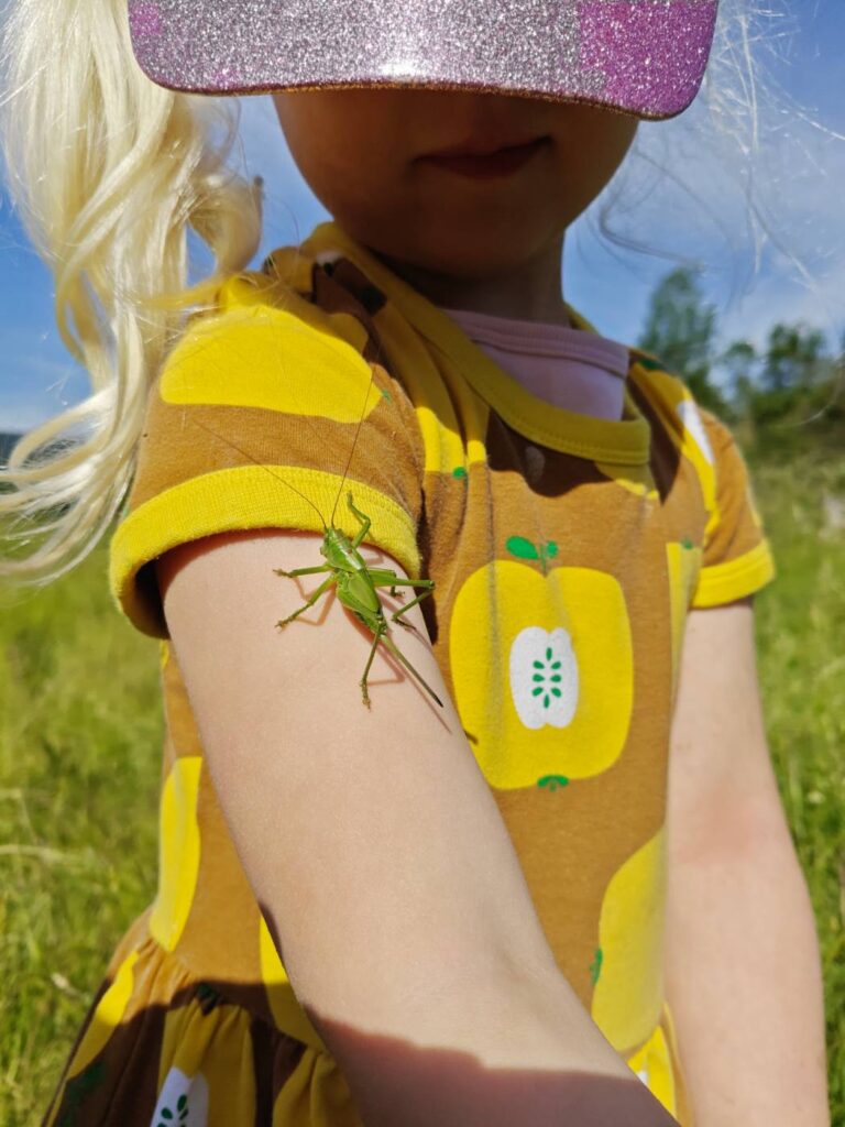 Heuschrecke auf dem Arm eines Kindes