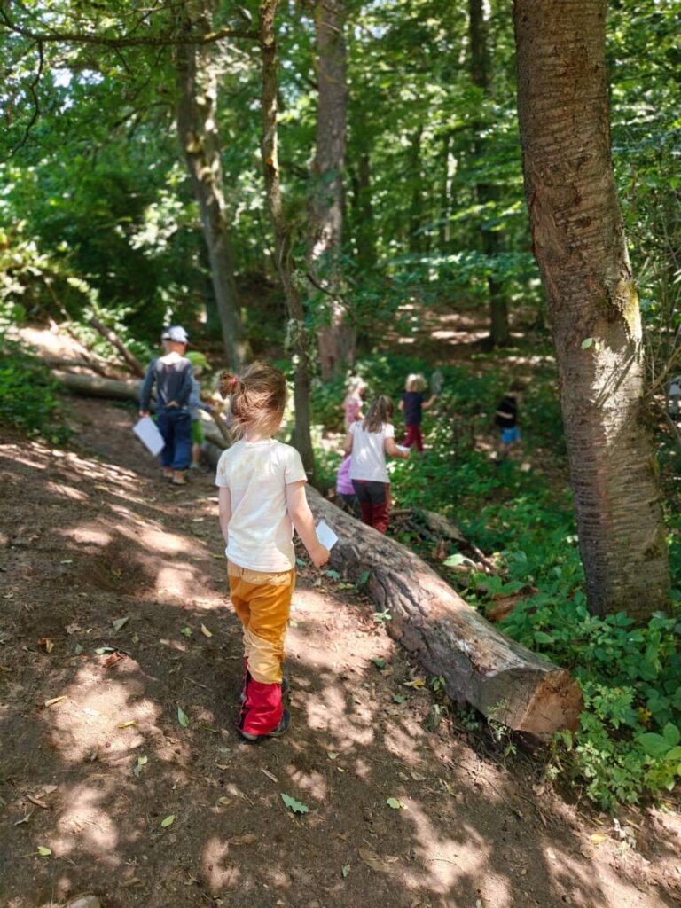 Kinder laufen auf einem Waldweg