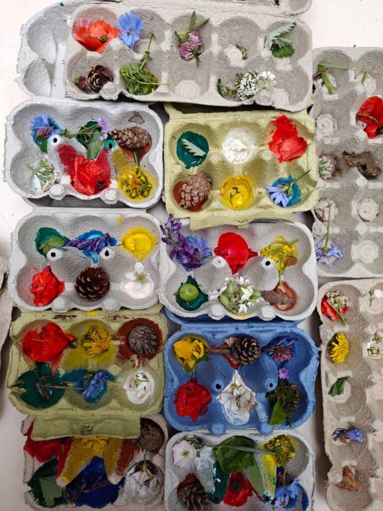 Gesammelte Naturschätze in Eierkartons